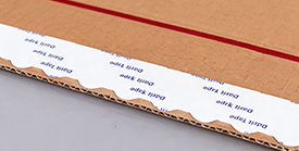 Cardboard Box Taping Pasting